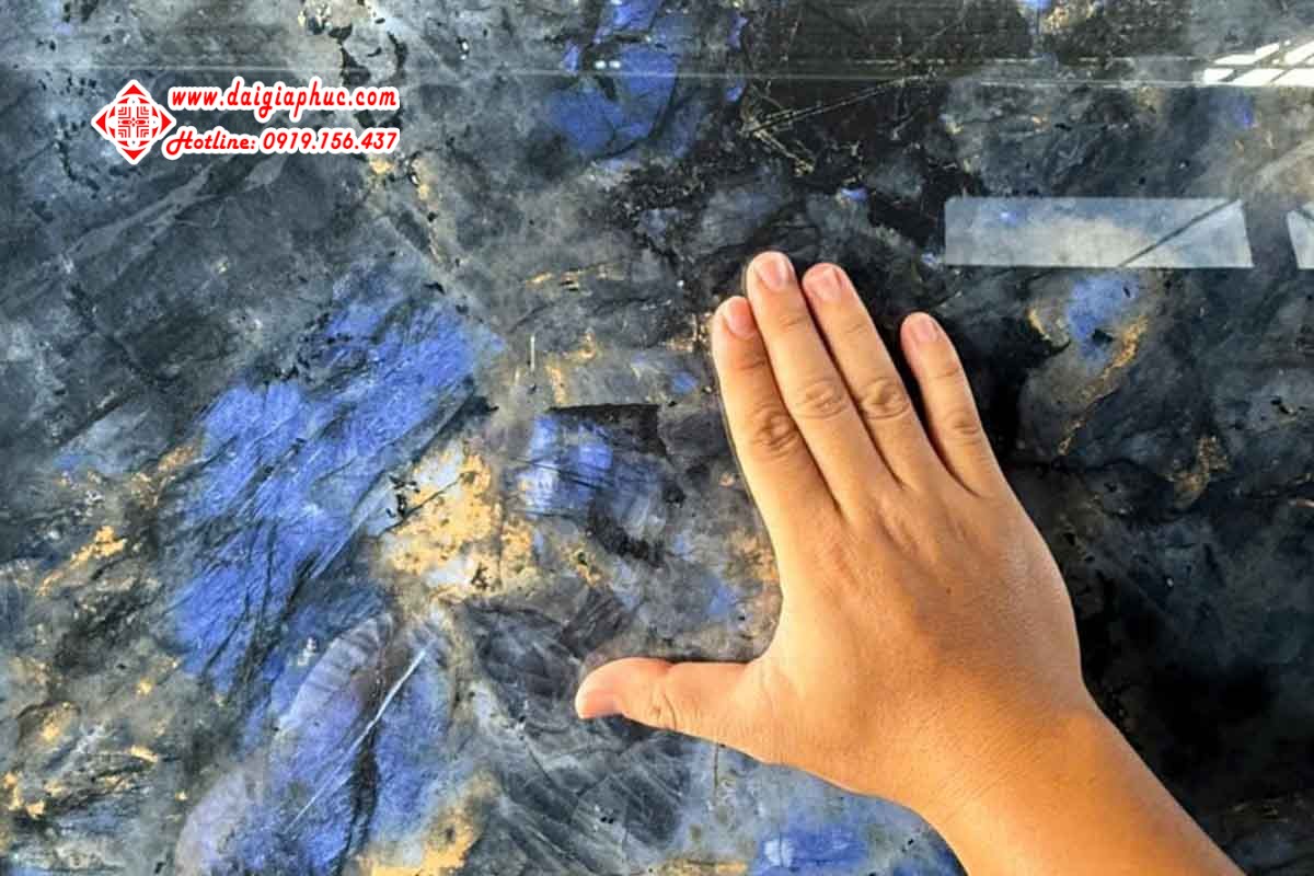 Exotic Blue (Nung Kết) hover